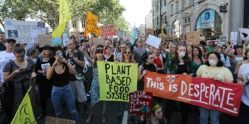 El fuego en el Amazonas hace peligrar el acuerdo Mercosur-UE