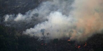 Los incendios en el Amazonas sacuden la gestión de Bolsonaro