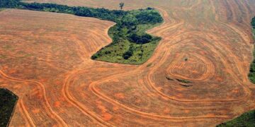 Bolsonaro niega la deforestación de la Amazonia
