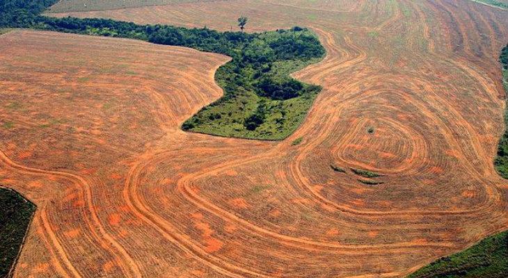Bolsonaro niega la deforestación de la Amazonia