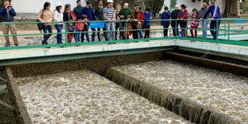 El Ersep confirmó la presencia de algas en el agua para consumo