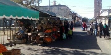 Frutas y verduras, 35,46% más baratas en las ferias francas