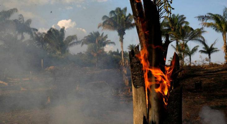 Alerta mundial por la multiplicación de incendios en el Amazonas