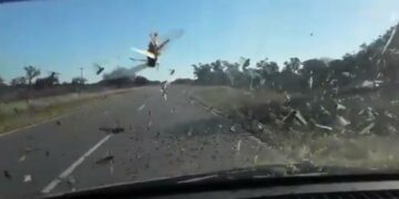 Impresionante nube de langostas sorprende a un conductor en la ruta
