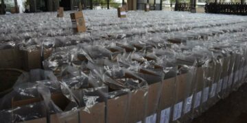 La CNE le puso límites a la petición de separar boletas