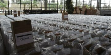 Recta final: 8.750 urnas se distribuirán en 1.221 escuelas y centros de votación