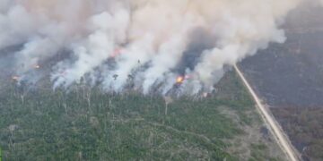 Avanza el gigantesco incendio que devora la selva amazónica