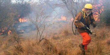 Bomberos cordobeses se ofrecen para colaborar en la Amazonia
