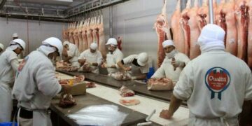 Repunta la actividad frigorífica