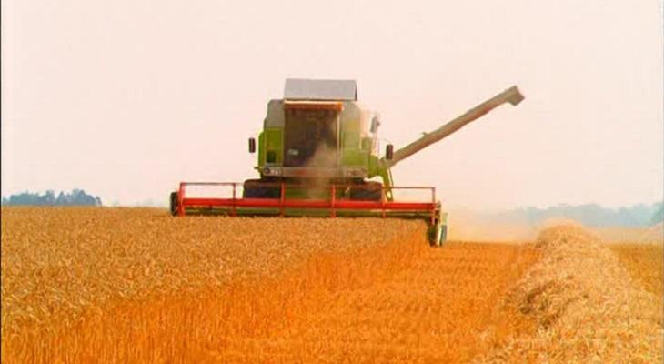 La Argentina salió del top ten de países exportadores agrícolas