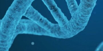 Buscan retrasar la muerte humana entre 30 y 50 años