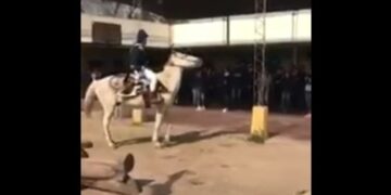 Se disfrazó de San Martín, montó un caballo y les habló a sus alumnos