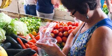 La Canasta Básica subió casi el 60% a nivel interanual en julio