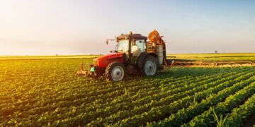 En el año 2050 la producción agrícola se reducirá un 30%