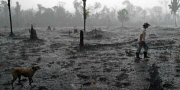 En defensa del Amazonas