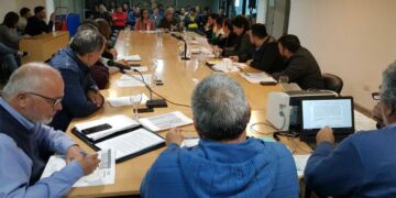 Concejales aumentaron el valor de las multas al transporte ilegal