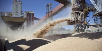 Histórico acuerdo con China para la exportación de harina de soja