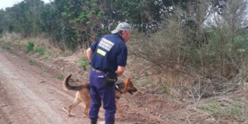 Buscaban a un hombre desaparecido y encontraron el cuerpo de un joven