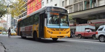 Será normal el transporte urbano en la ciudad