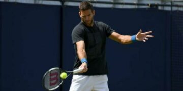 Del Potro postergó su regreso