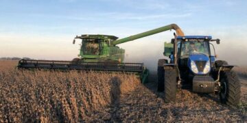 La cosecha del ciclo 2019-2020 caerá 4,5% interanual