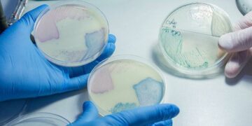 Detectan bacterias resistentes a los antibióticos en la ciudad