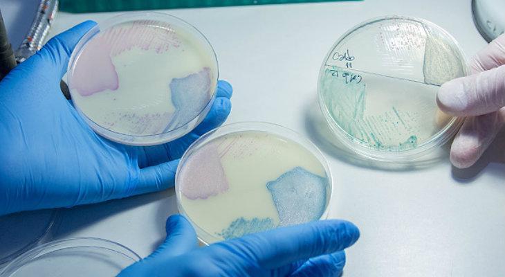 Detectan bacterias resistentes a los antibióticos en la ciudad
