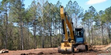 Modificarán ley de suelos, que avanzaría sobre la de Bosques