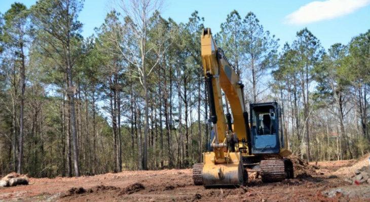 Modificarán ley de suelos, que avanzaría sobre la de Bosques