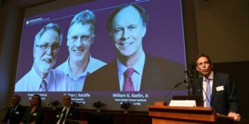 Nobel de Medicina para el trío que investigó cómo se adaptan las células al oxígeno