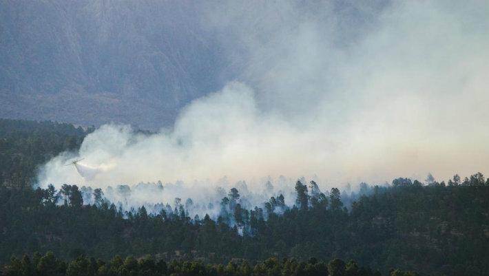 Sigue activo el foco en el pinar de Copina Sigue activo el foco en el pinar de Copina