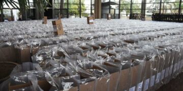 Arrancó la cuenta regresiva rumbo a las generales en todo el país