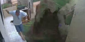 Hizo explotar su patio para acabar con unas cucarachas