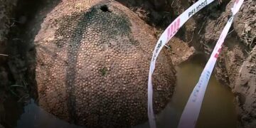 Un impresionante gliptodonte fue hallado en Buenos Aires