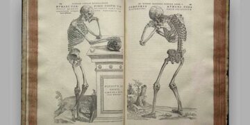 El recto conocimiento de las vísceras