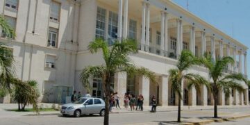 Crean una nueva área para políticas de género en la UNC