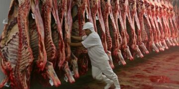 Crece el interés por la exportación de carne a China