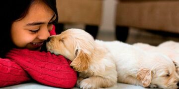 El amor entre un dueño y su perro se asemeja al de una madre con su hijo