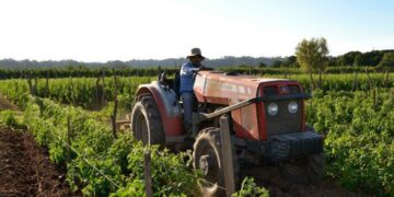 Crecen las exportaciones