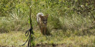 Alertan por las amenazas en  torno a la Reserva San Martín