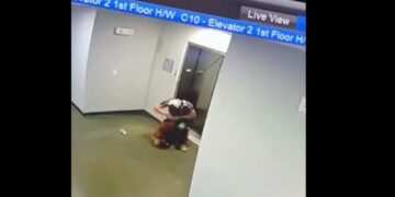 Salvó a un perro de morir ahorcado por el ascensor