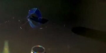 Científicos lograron hacer que un pedazo de plástico “camine”