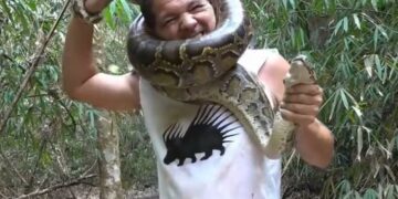 Una serpiente pitón salvaje mordió y estranguló a un famoso youtuber
