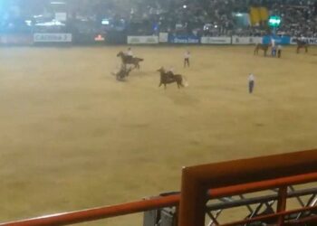 Jesús María: buscan prohibir la jineteada