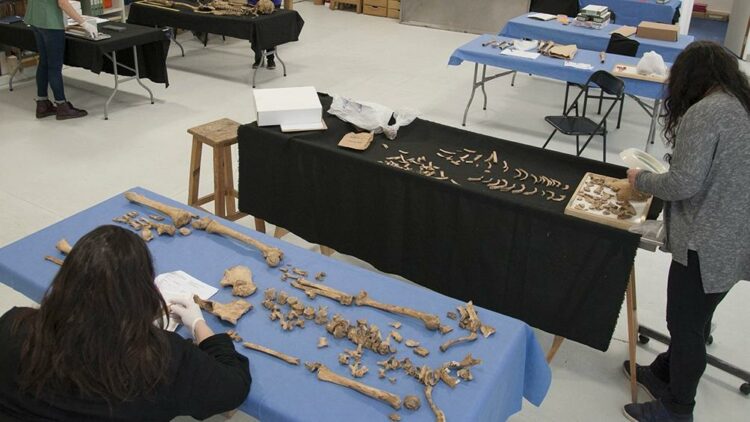 Postularon al Equipo Argentino de Antropología Forense al Nobel de la Paz