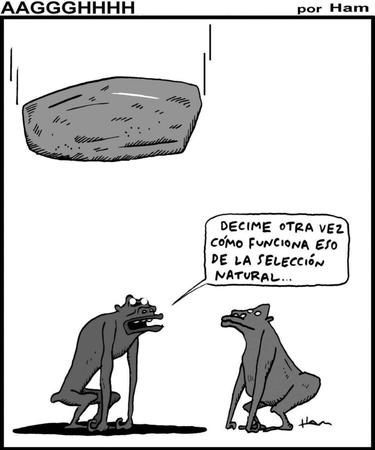 Humor en Hoy Día