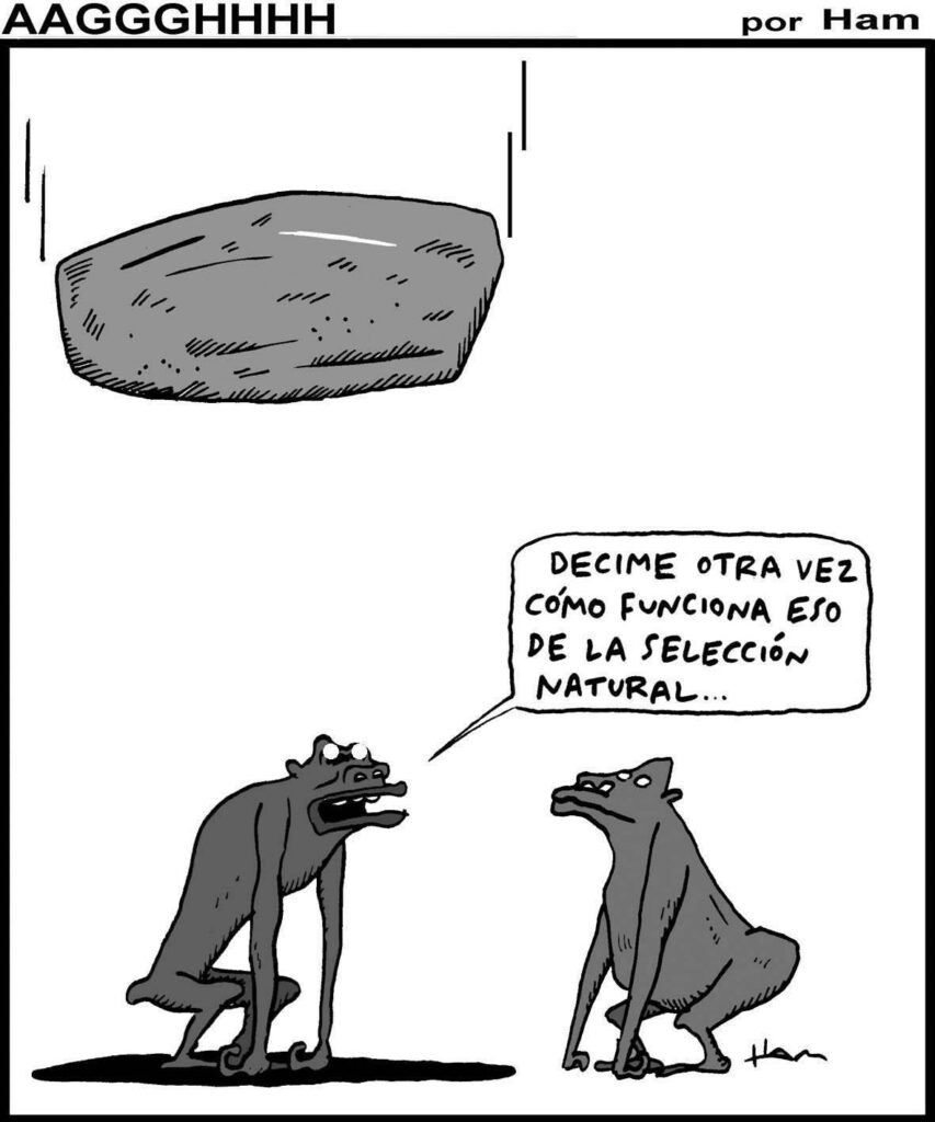 Humor en Hoy Día Humor en Hoy Día