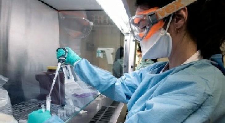 Confirmaron once nuevos casos de coronavirus en Argentina