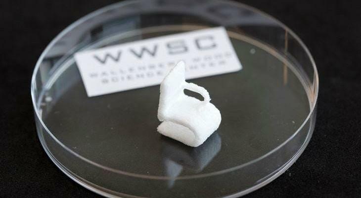 Con la impresión 3D crean objetos basados en celulosa