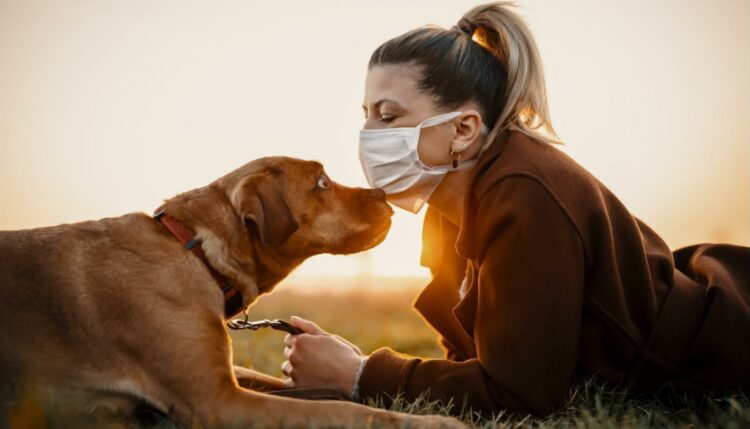 Brindan consejos para pasar el aislamiento con mascotas